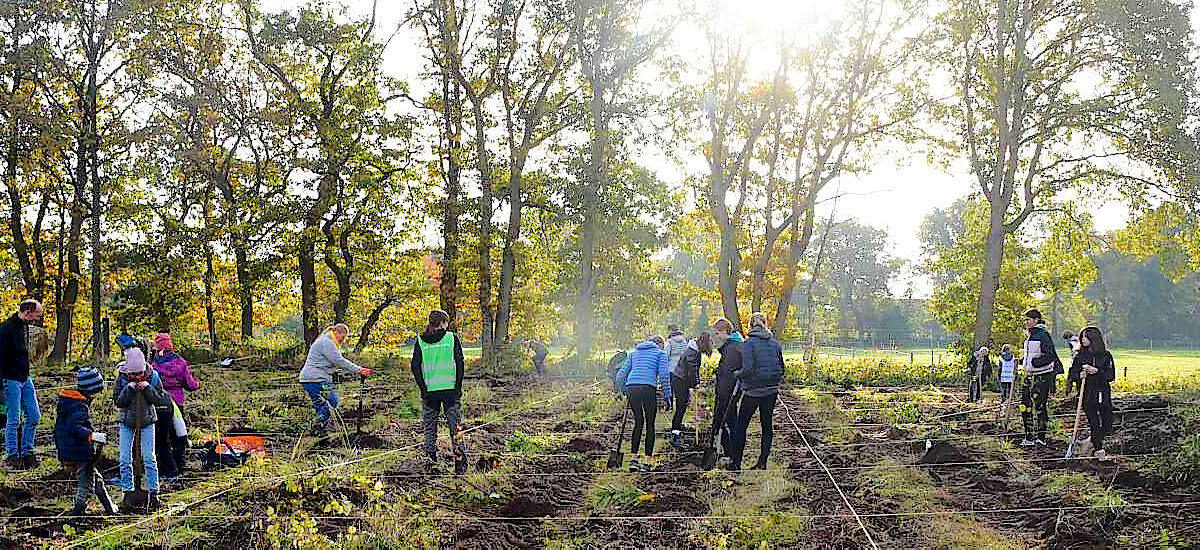Pflanze deinen Tiny Forest gegen den Klimawandel wir helfen dir dabei