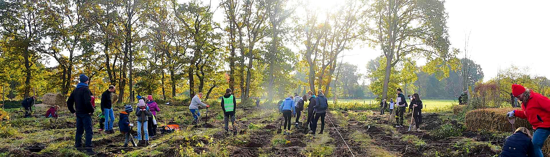 Pflanze deinen Tiny Forest gegen den Klimawandel wir helfen dir dabei