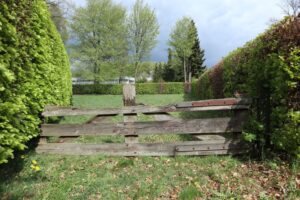 News zum ersten Aufforstungsprojekt (Stand: 07.05.19)