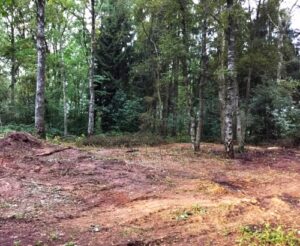 Aufforsten zum Einheitsbuddeln