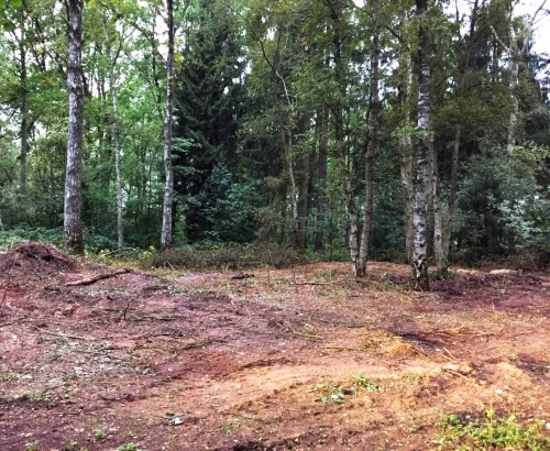 Fläche zum Einheitsbuddeln