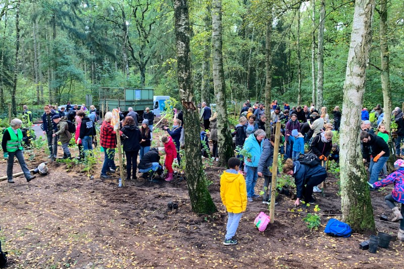 Baumpflanzaktion zum Einheitsbuddeln Citizens Forests