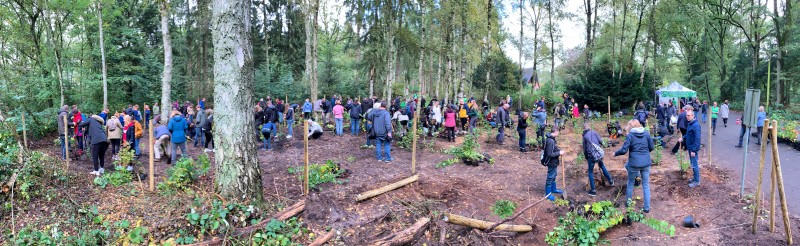 Pflanzaktion zum Einheitsbuddeln Citizens Forests