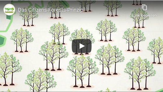 Das Citizens Forests Prinzip