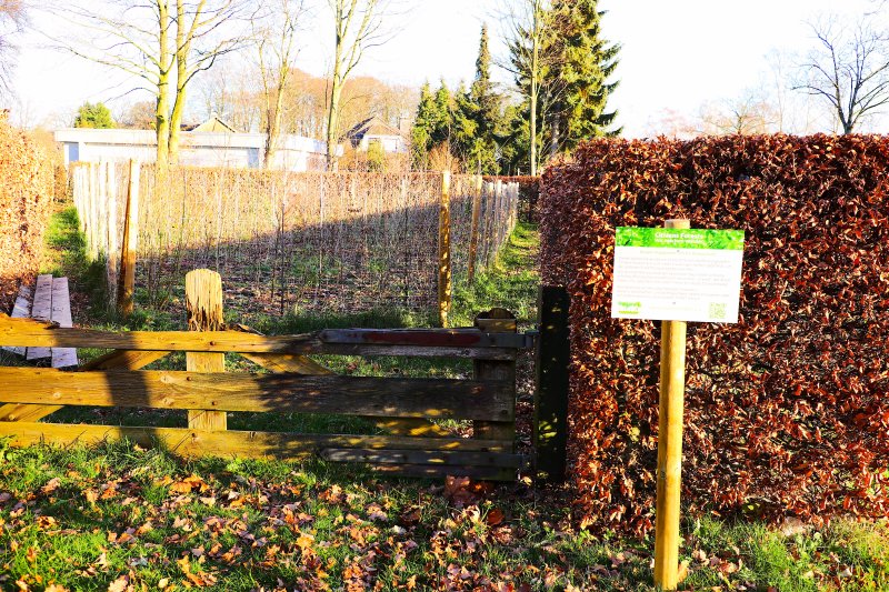Infotafeln Citizens Forests