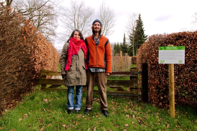Aufforsten HNE Eberswalde Citizens Forests