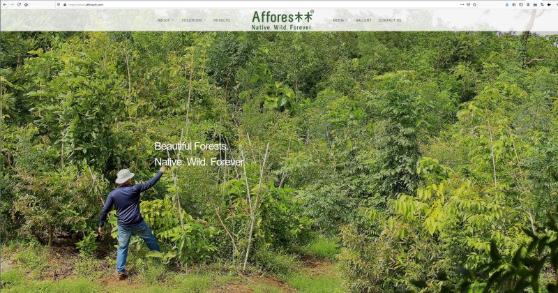 Aufforsten Afforest Miyawaki
