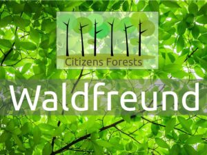 Nachhaltig schenken