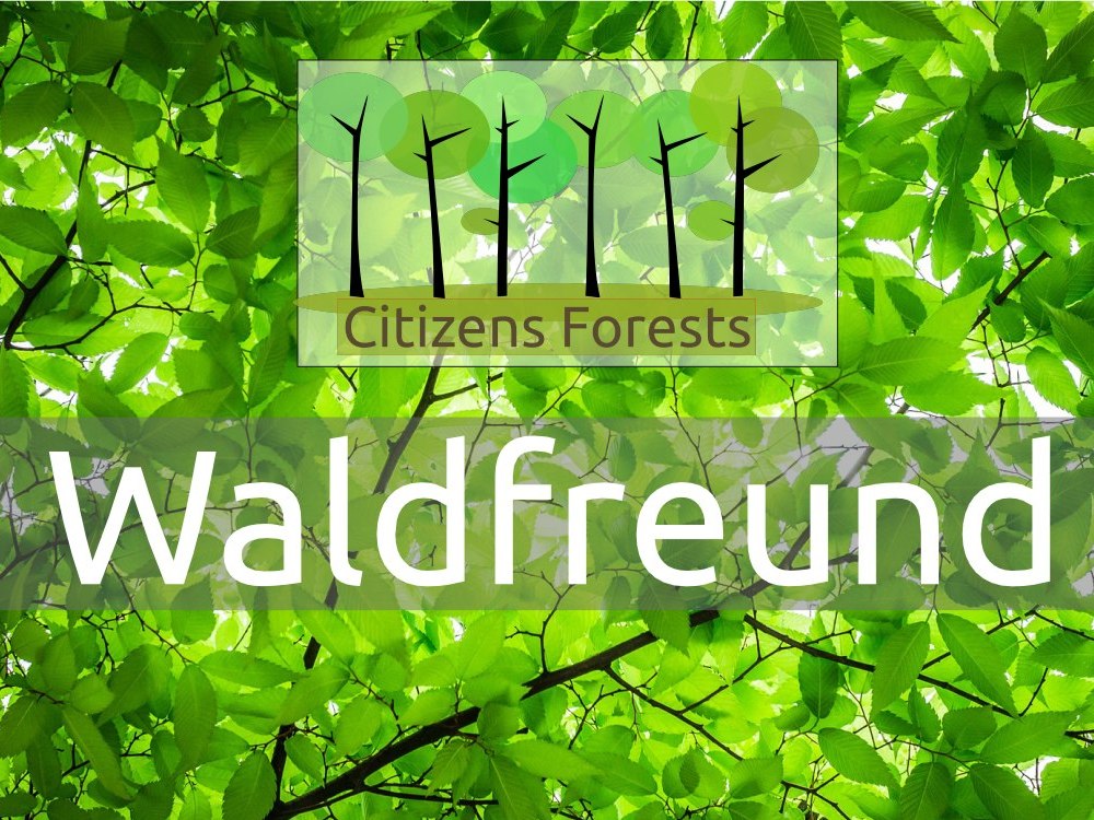 Waldfreund Aufforstung