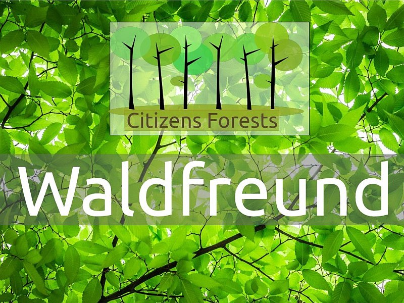 Waldfreund Aufforstung