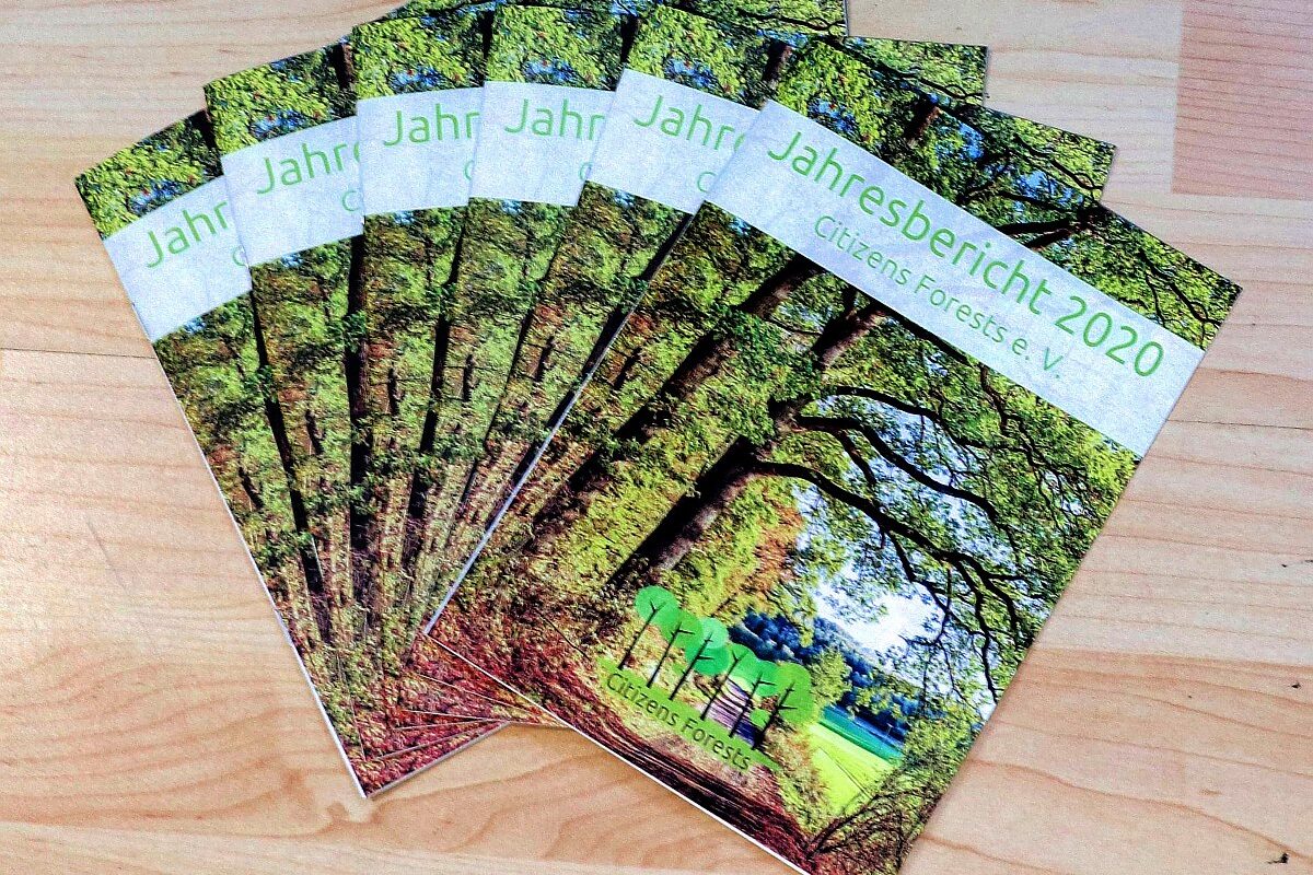 Jahresbericht Aufforsten 2020