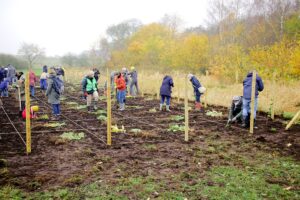 Pflanzaktion in Quickborn am 19.11.2022