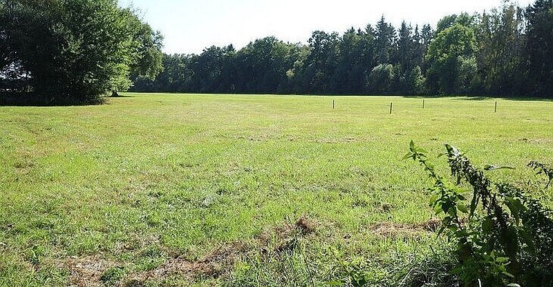 Aufforstungsfläche in Bönningstedt