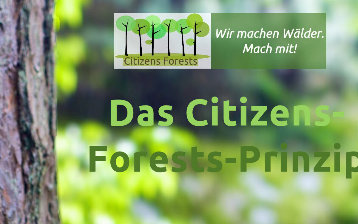 Das Citizens-Forests-Prinzip mit Miyawaki und Tiny Forests