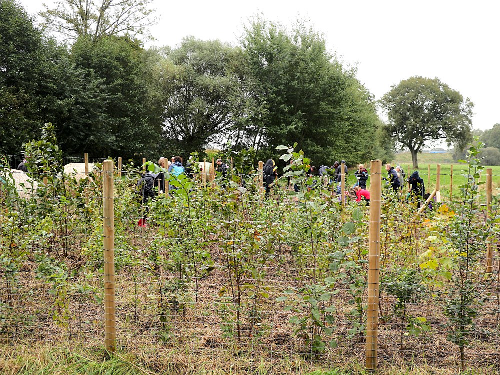 Einheitsbuddeln 2021 Citizens Forests Pflanzaktion