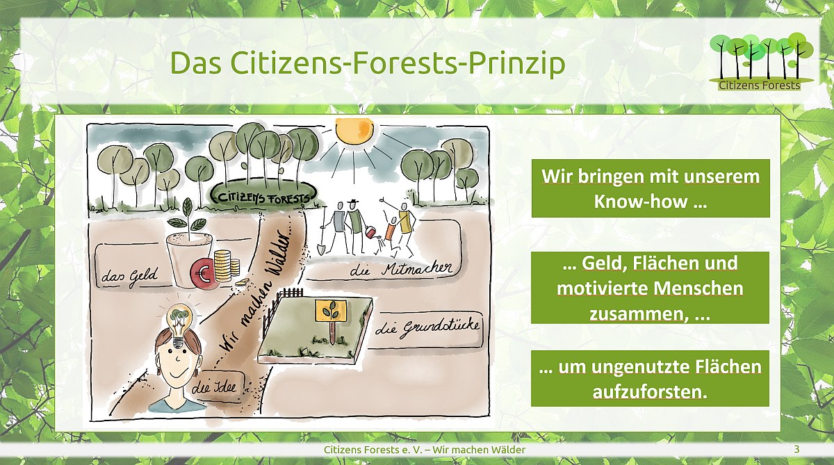 Online Infoabend Pflanzaktionen