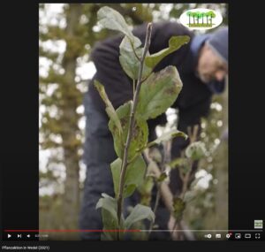 Zwei neue Videoclips auf Youtube