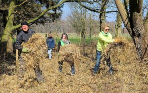 Mulchen in Hemdingen