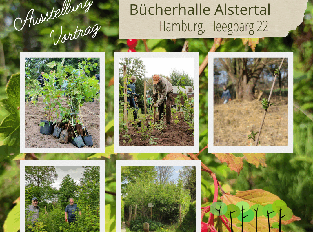 Ausstellung Buecherhalle Alstertal 2022