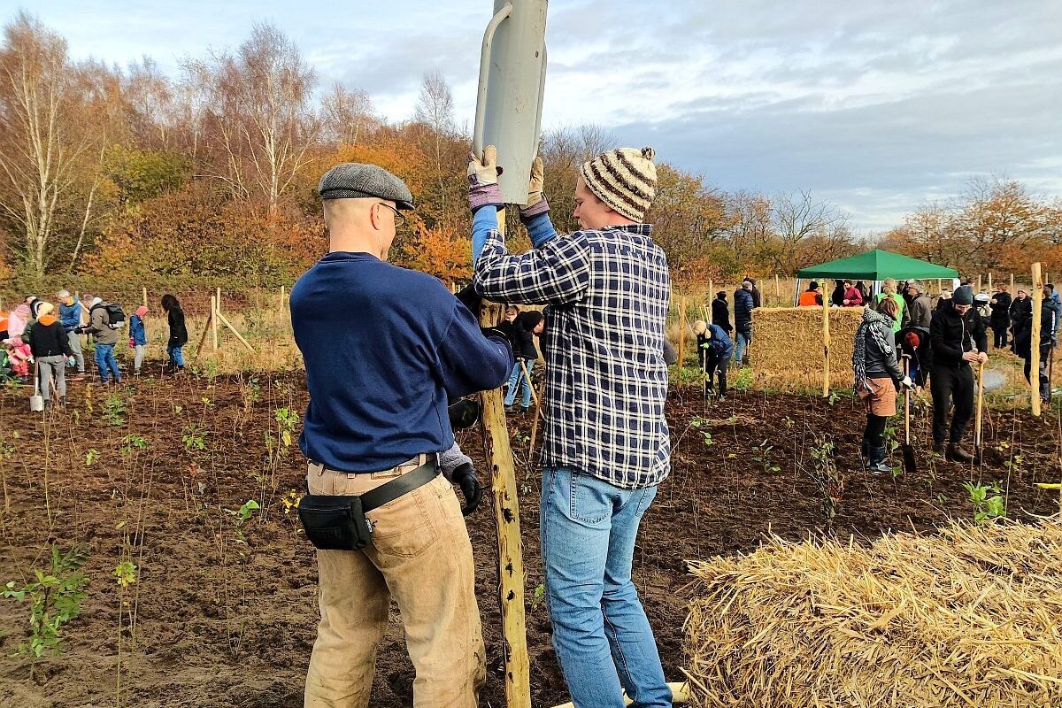 Zaun setzen in Quickborn