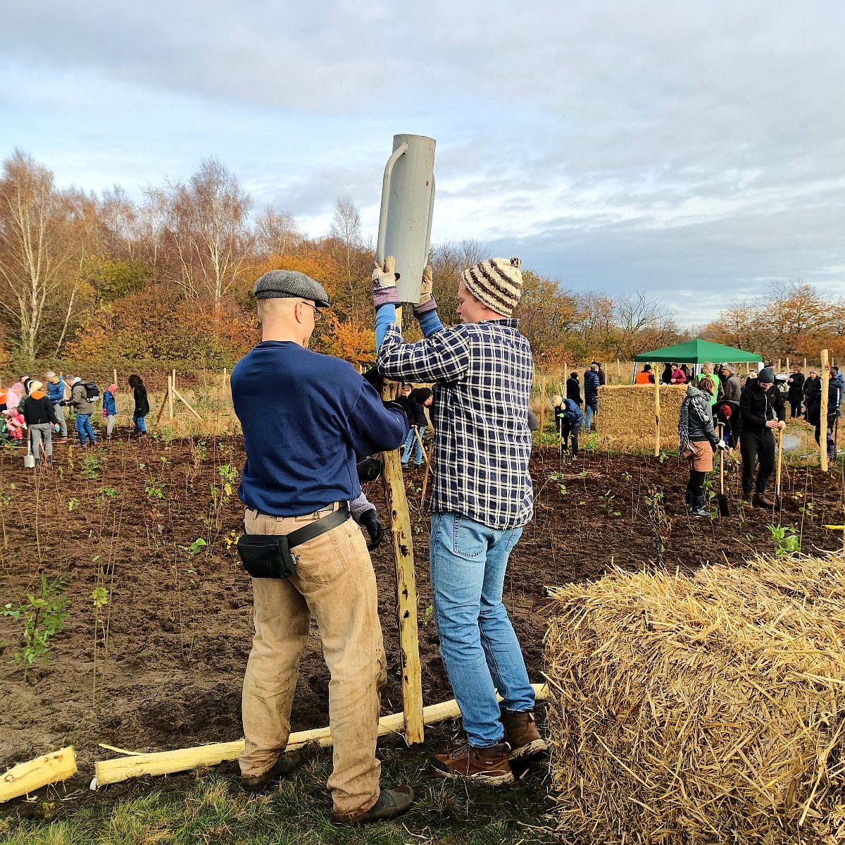 Zaun setzen in Quickborn