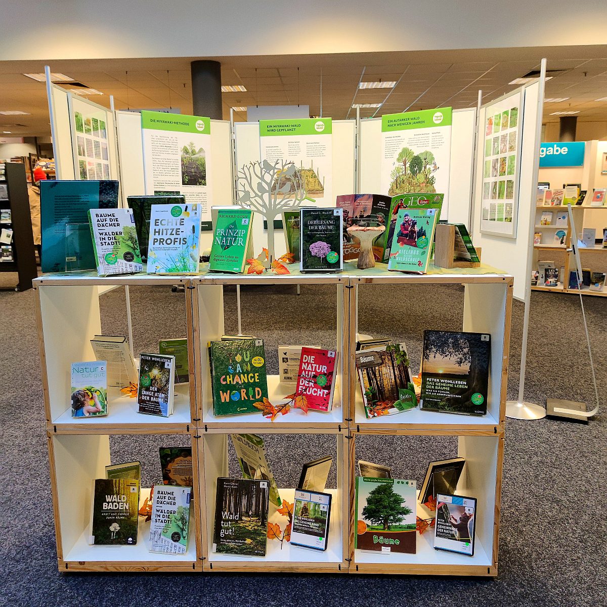 Ausstellung Citizens Forests Bücherhalle Hamburg Harburg