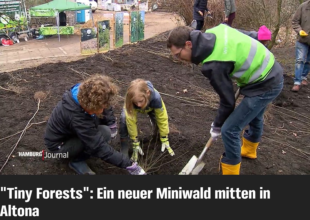 Hamburg Journal Tiny Forest
