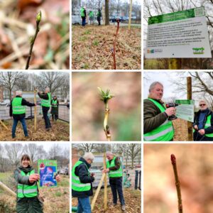 Geolino-Artikel über unseren Tiny Forest in Stellingen