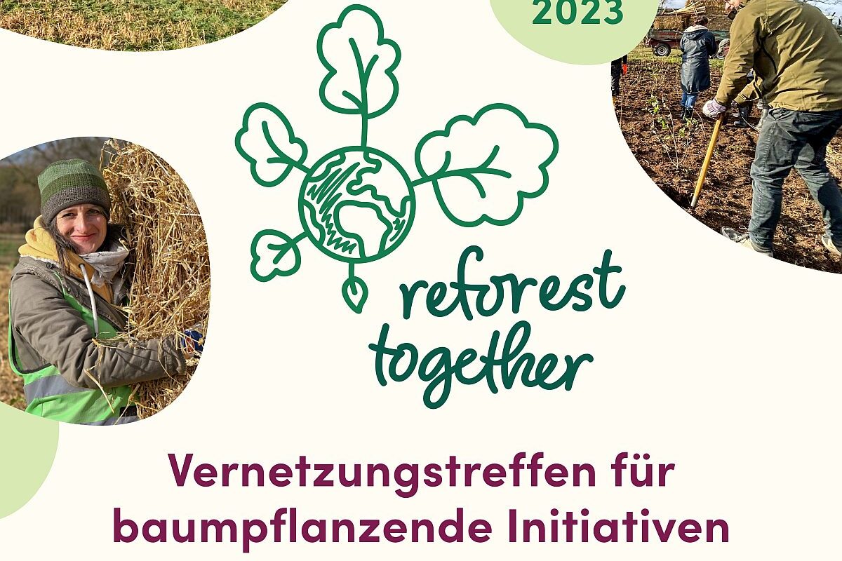 Event Reforest Together 2023