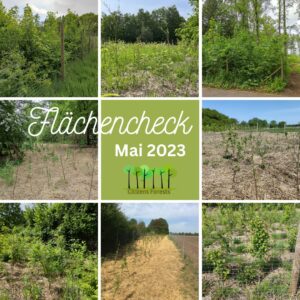 Flächencheck 2023