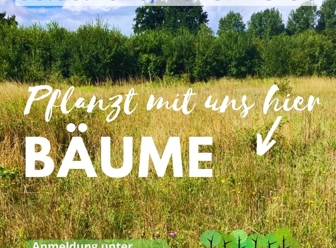 eckernfoerde baumpflanzaktion 2