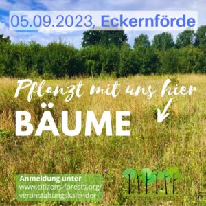 Ein Tiny Forest für Eckernförde