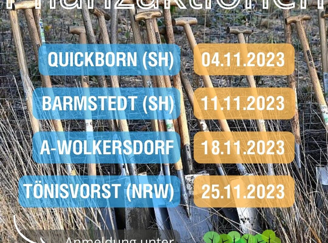 Vier Pflanzaktionen November 2023