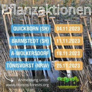 Pflanztermine im November