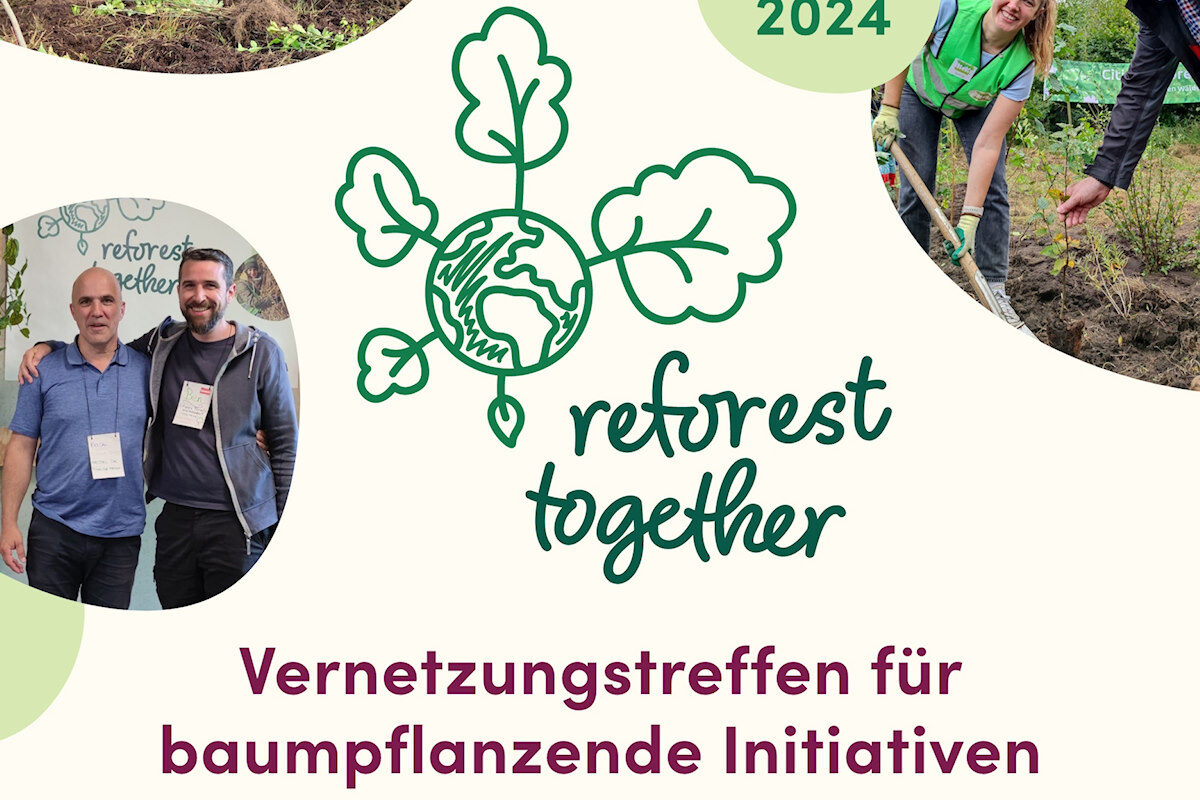 03_reforest together 2024_1