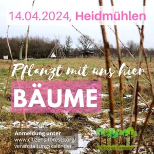 Pflanzaktionen im Frühjahr