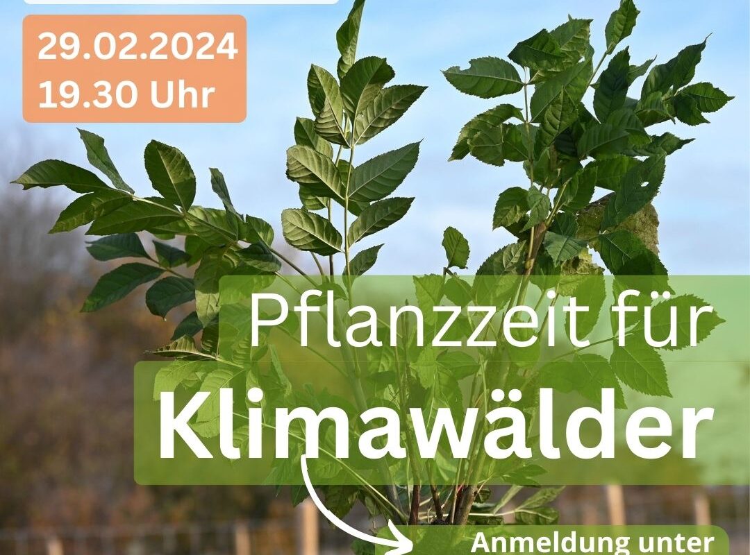 02_Online-Vortrag_Tiny Forests_Februar_2024