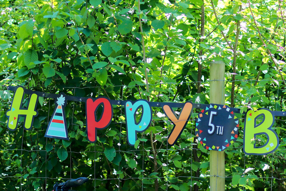 Happy Birthday Citizens Forests_1