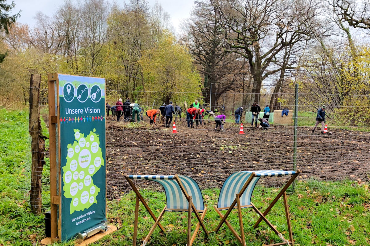Pfanzaktion in Bargfeld Stegen Miyawakiwald