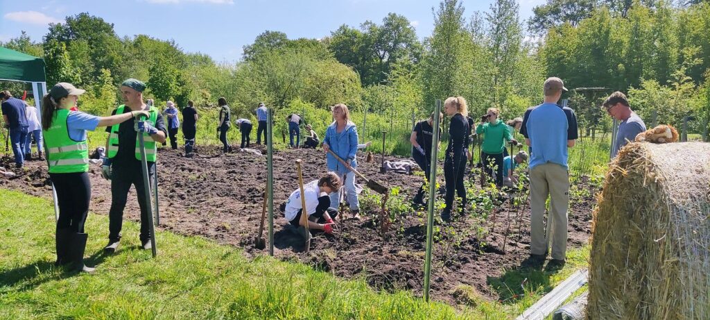 Miniwald in Klein Offenseth Sparrieshoop