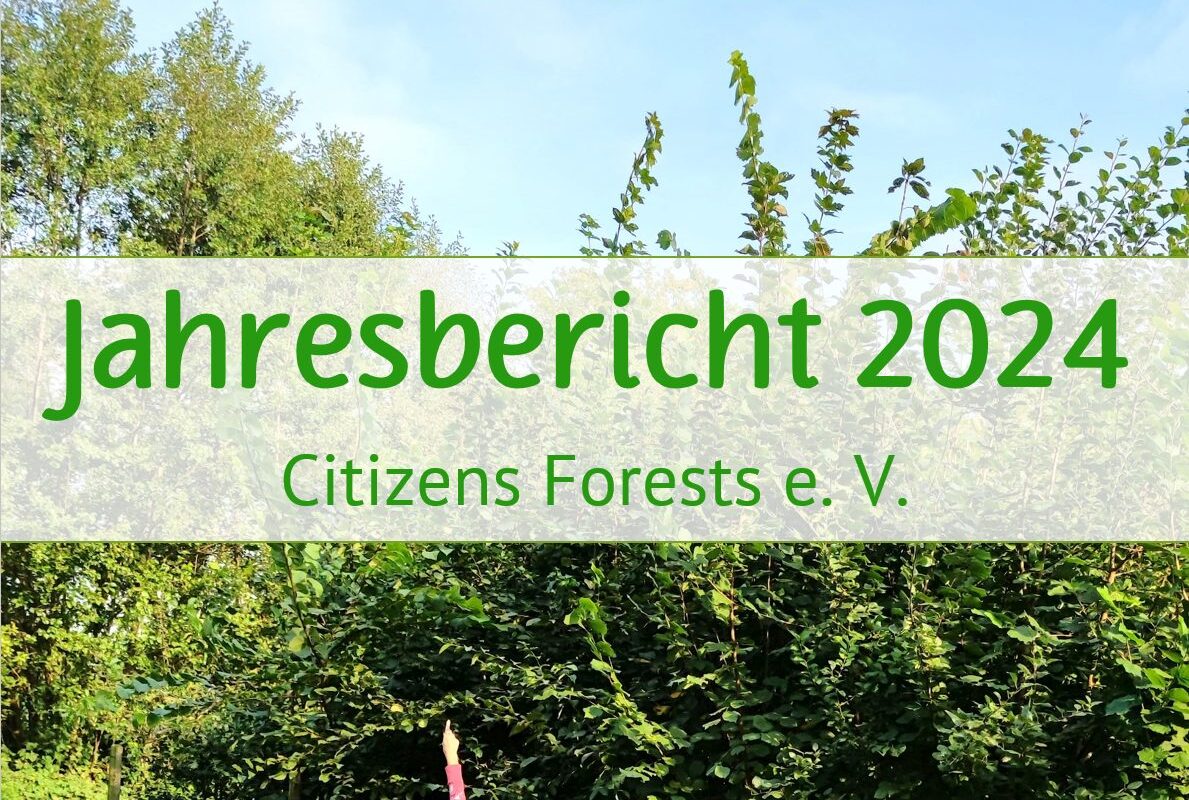 Jahresbericht 2024